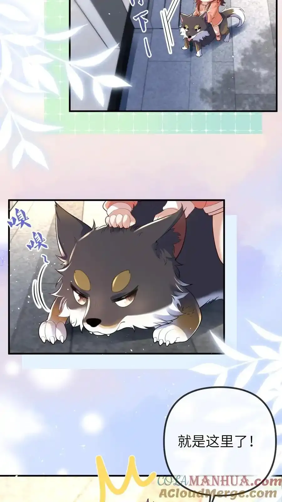 第190话 抓捕恶煞16