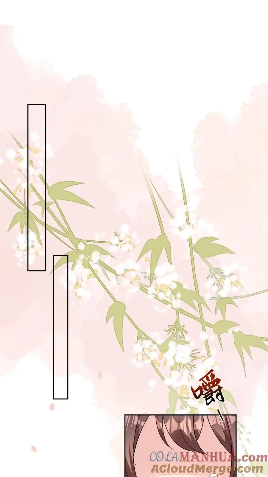 第41话 二十四师兄16