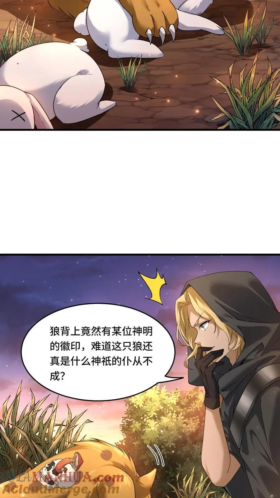 第175话 奇怪的圣兽12