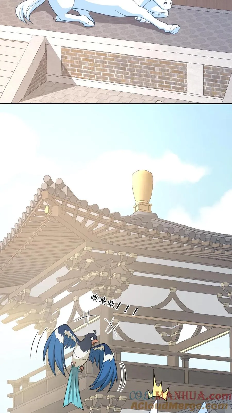 第108话 躺枪的喜鹊8