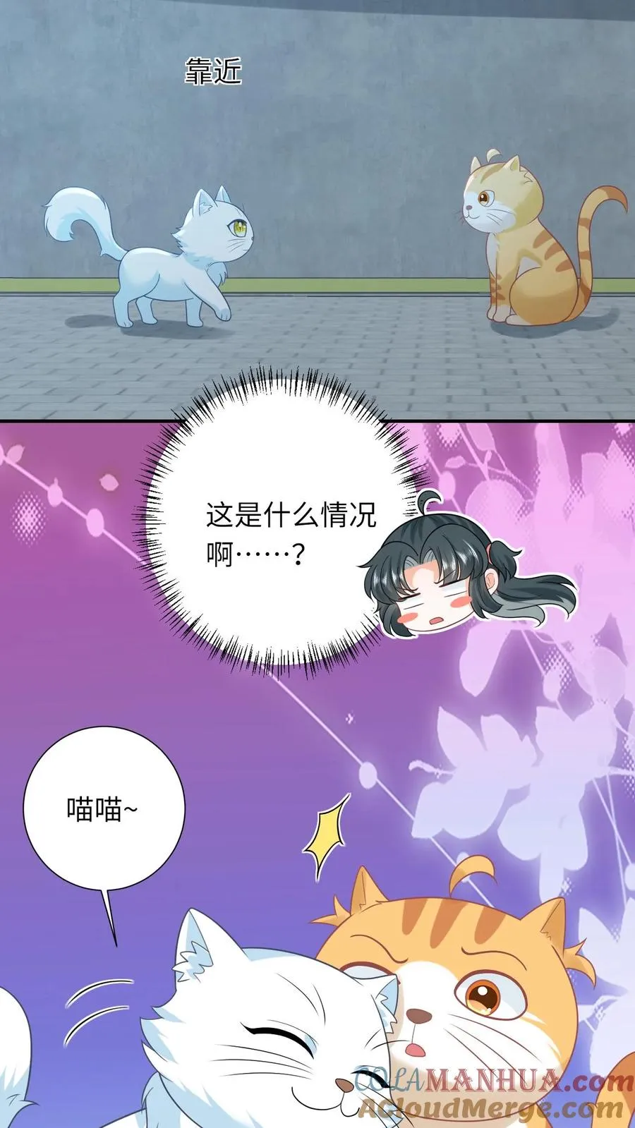 第113话 脱离掌控的大橘6