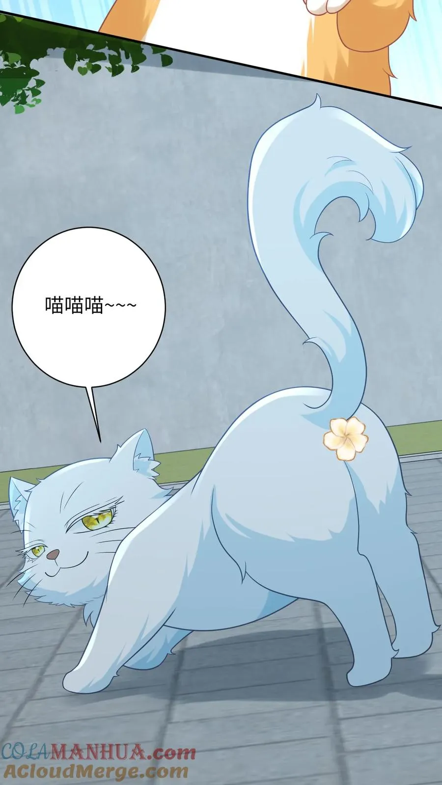 第113话 脱离掌控的大橘8