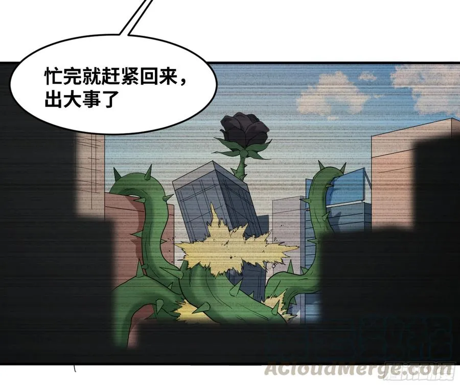 170 火葬26