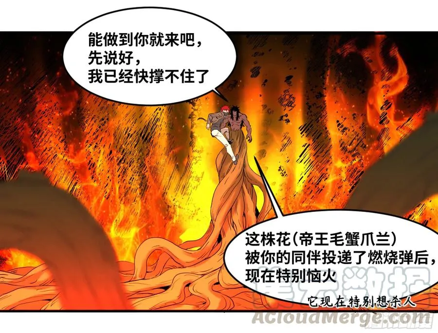170 火葬10