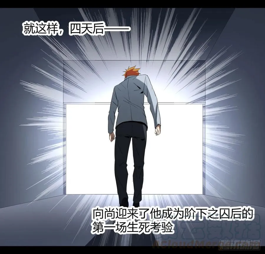第28.5条：向尚这个人9
