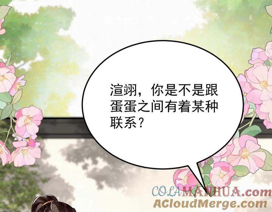 66.蛋蛋的来历21