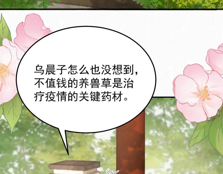 65.三七石5