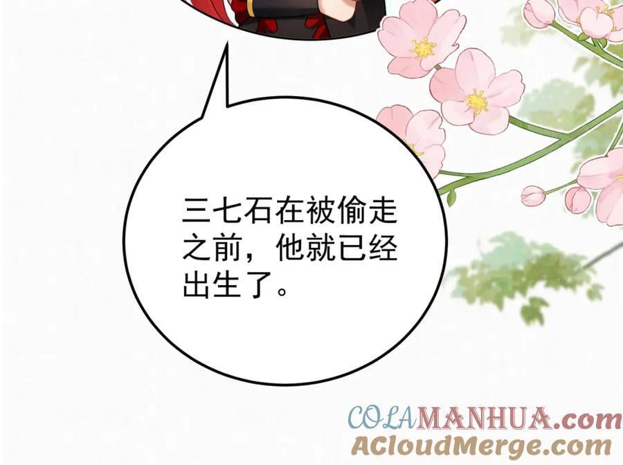 65.三七石66