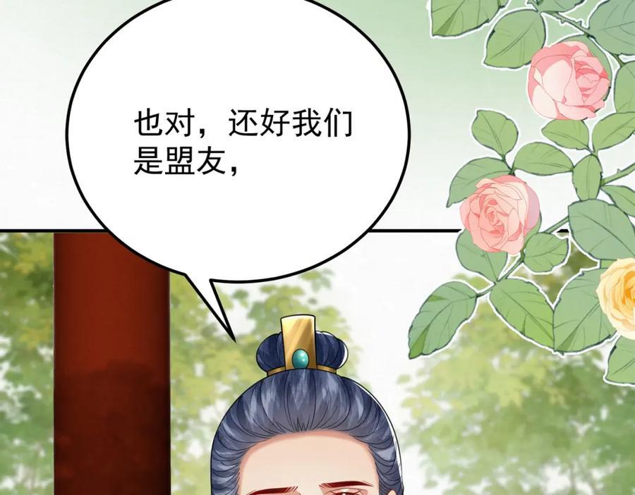 65.三七石13