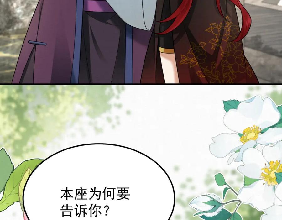 65.三七石50