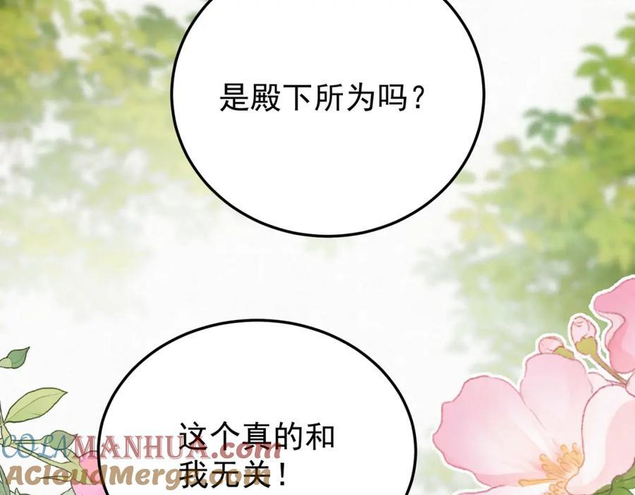 65.三七石21