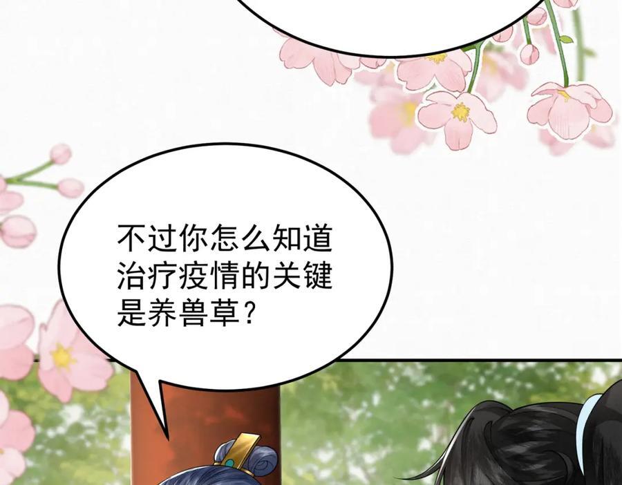 65.三七石8