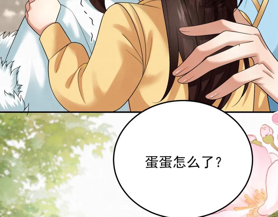 65.三七石64