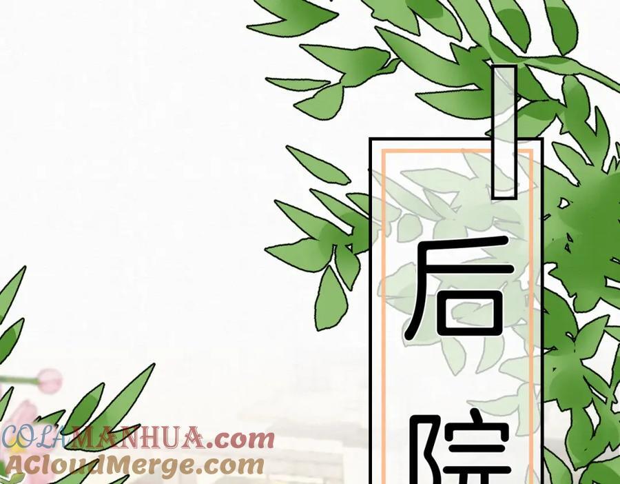 65.三七石27