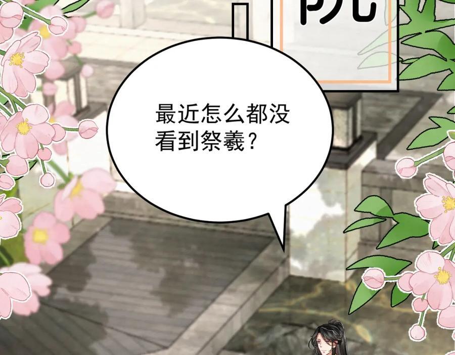 65.三七石28