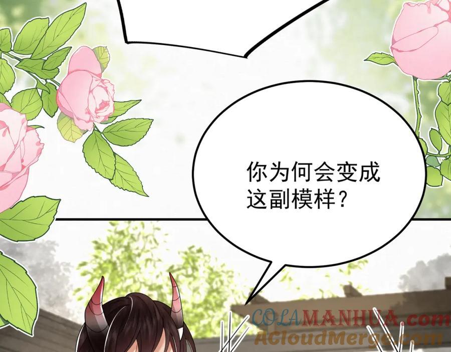 65.三七石48
