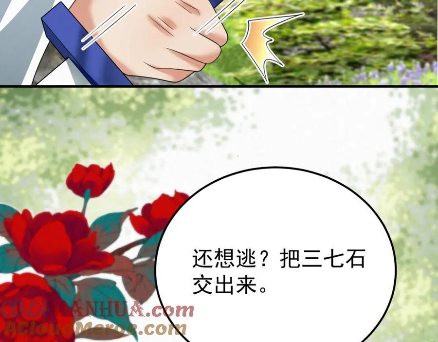 65.三七石45