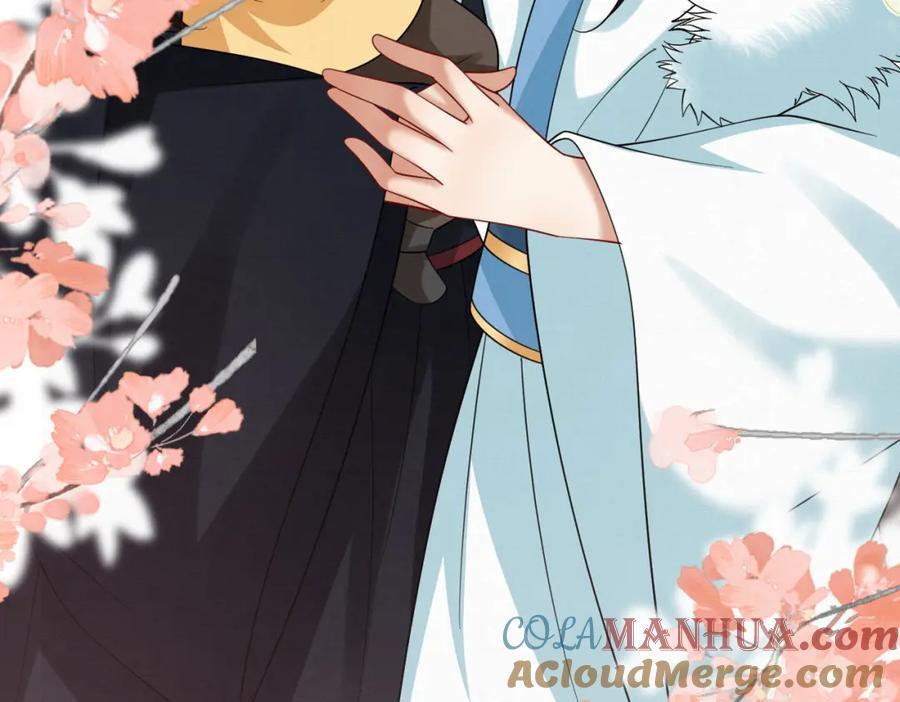 66.蛋蛋的来历33