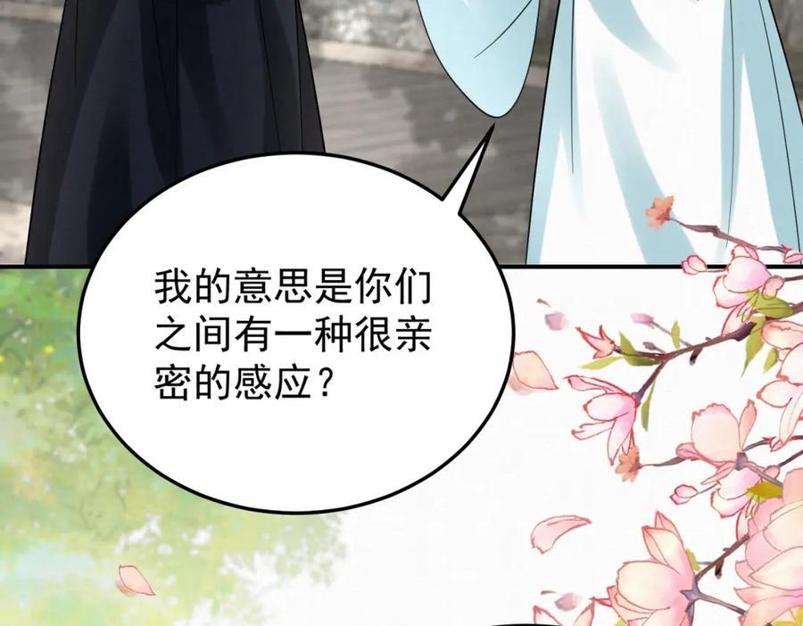 66.蛋蛋的来历23