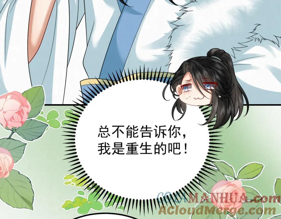 65.三七石12