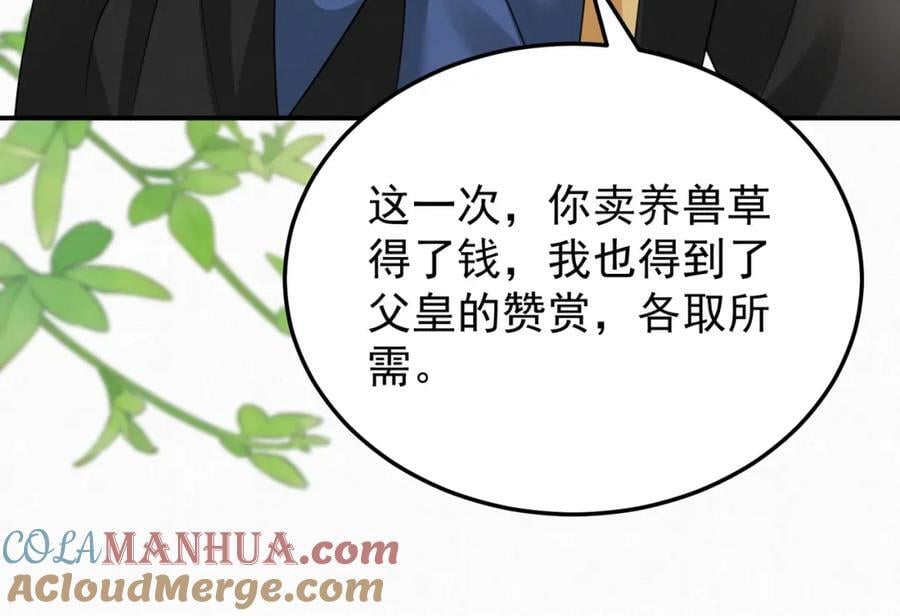 65.三七石15