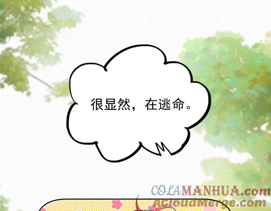 65.三七石39
