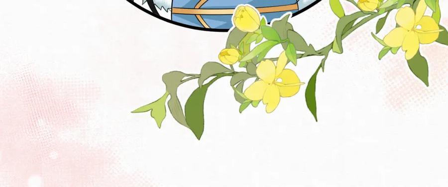 65.三七石26