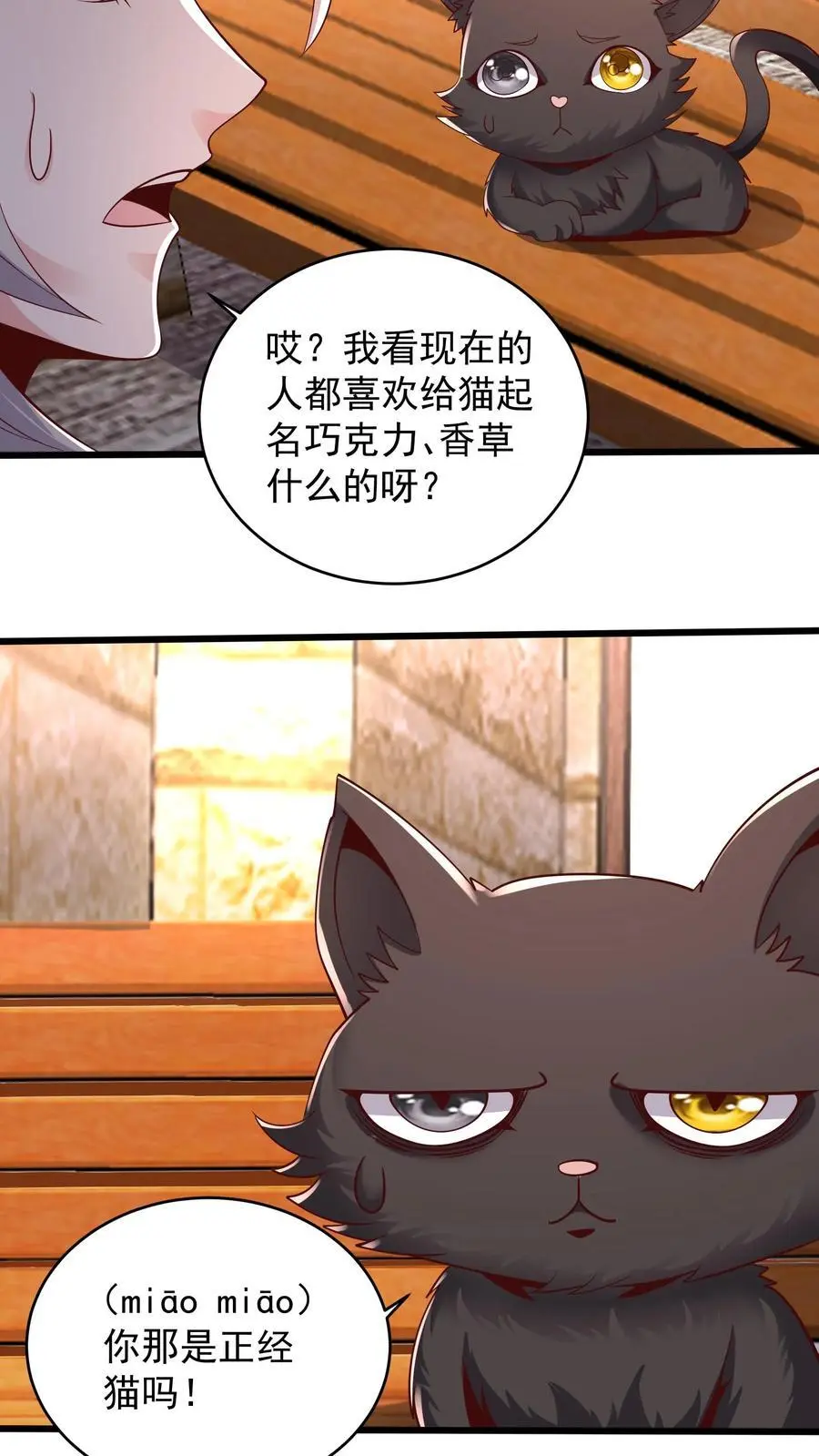 第126话 我们一起学猫叫5