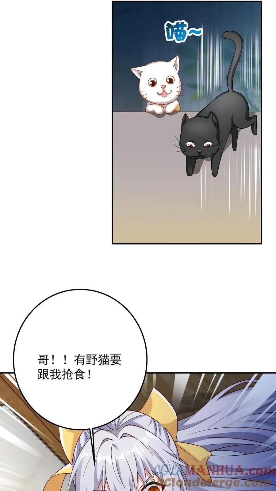第104话 哥，你应该不是猫奴吧？18