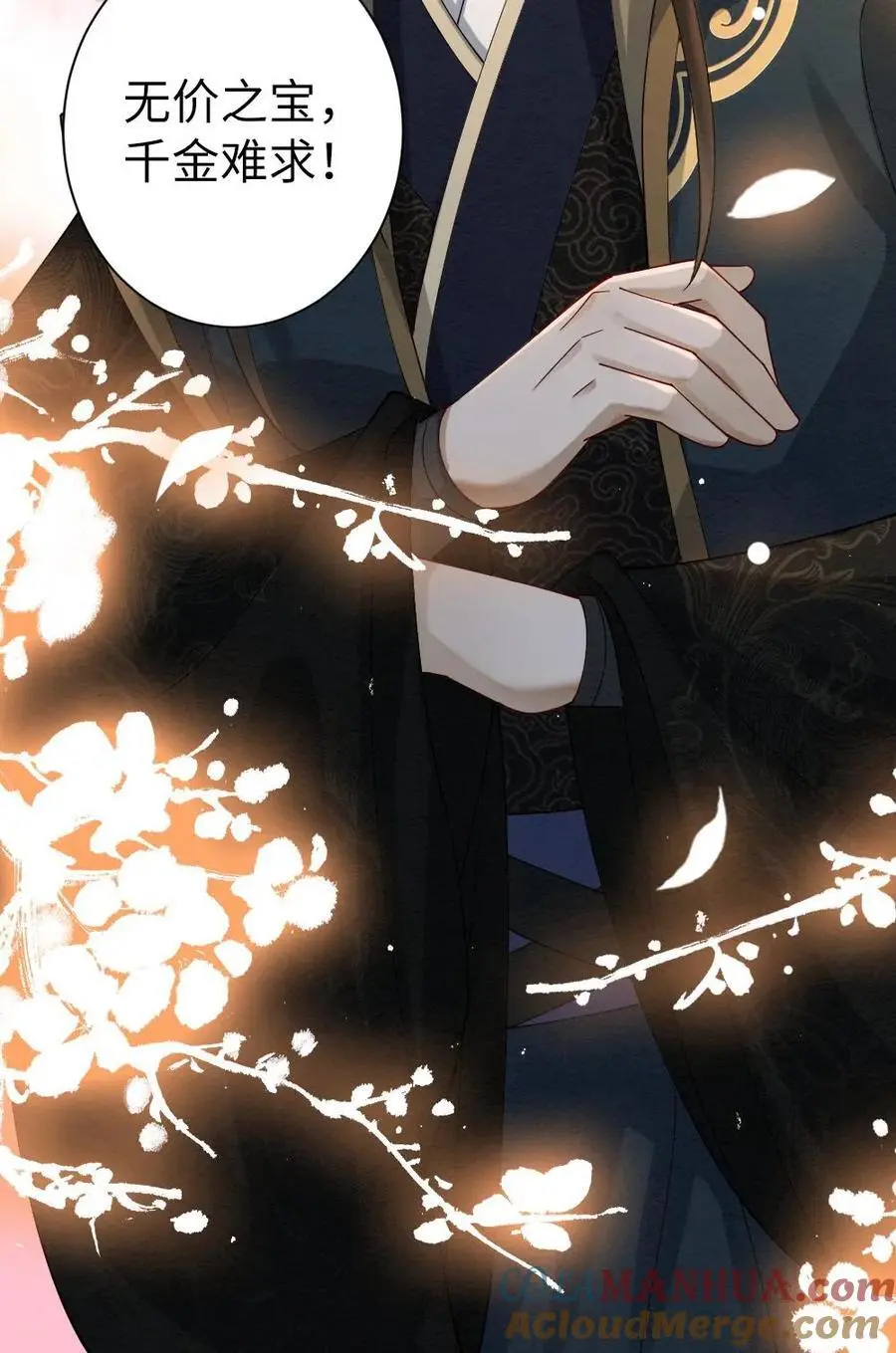 第135话 无价之宝24