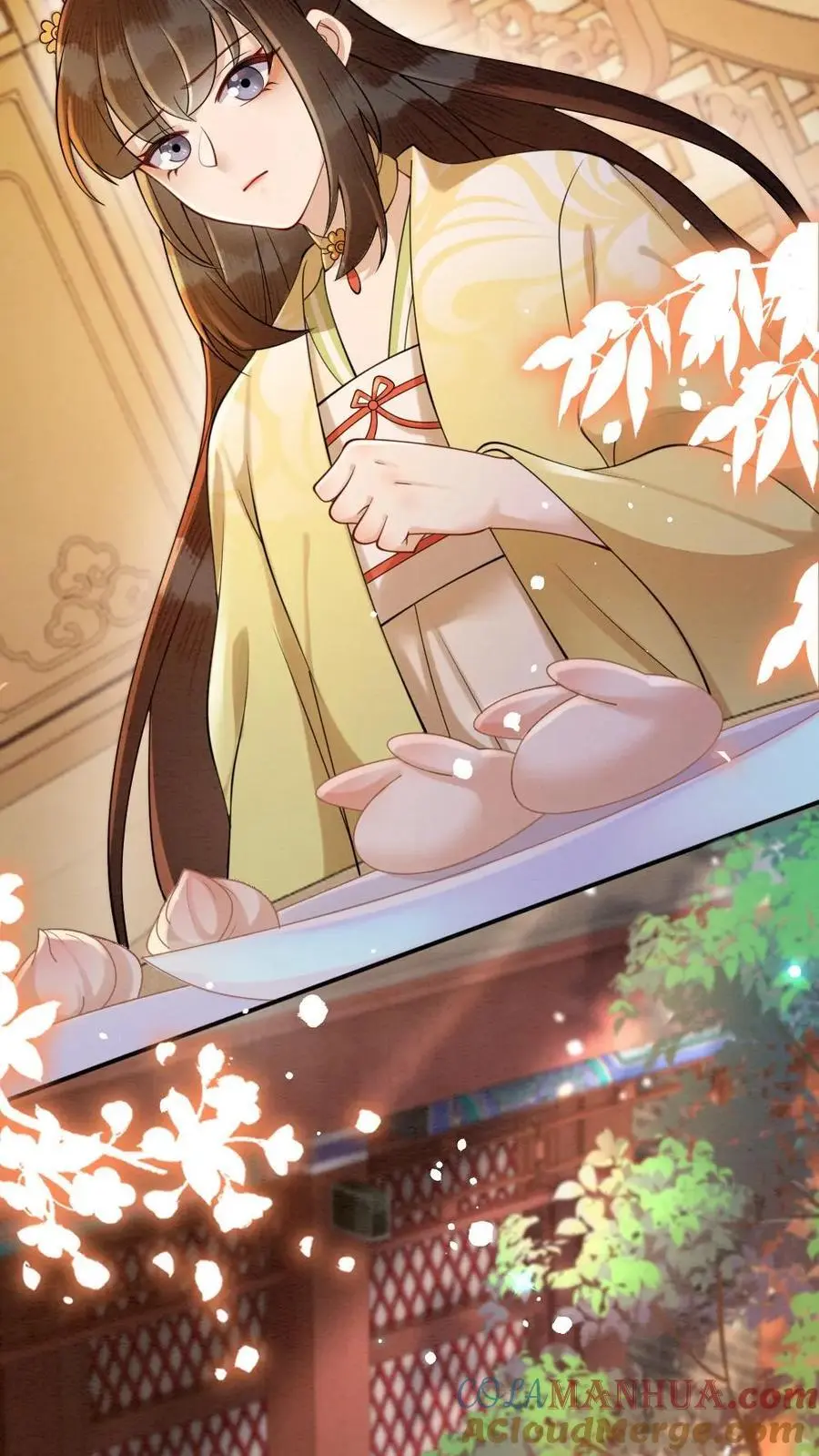 第148话 礼物18