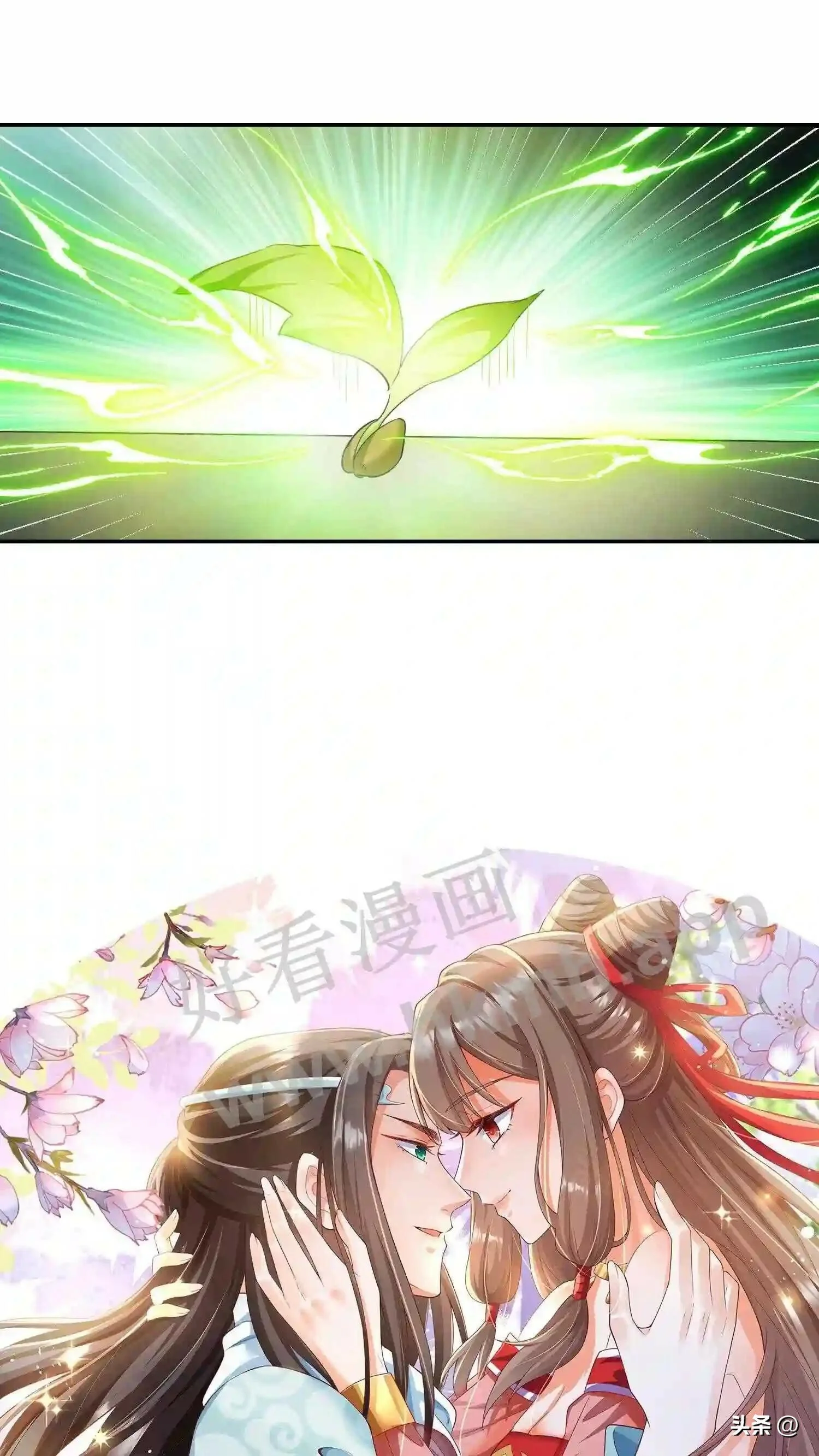 第118话 种子裂开了16