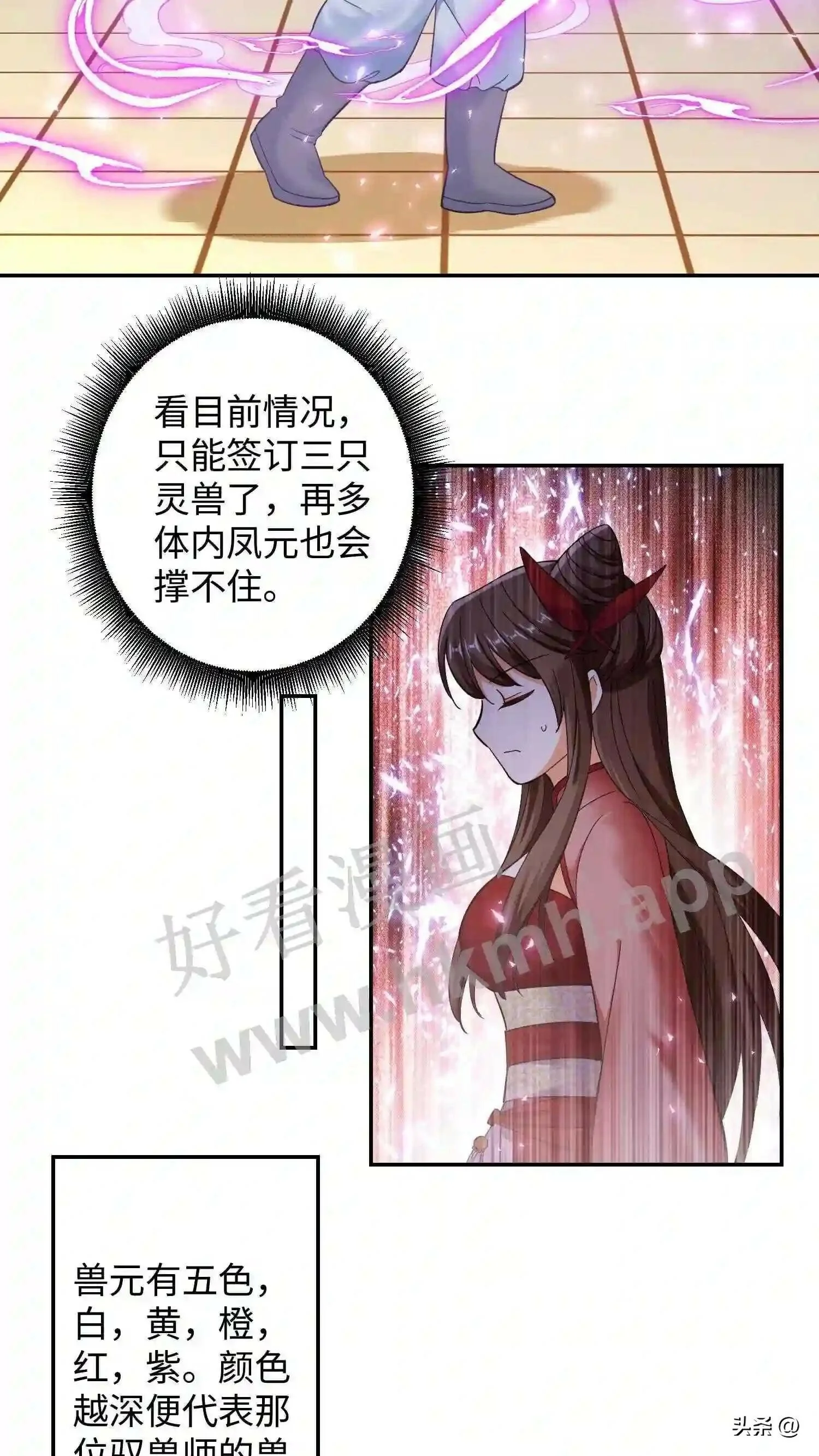 第118话 种子裂开了6
