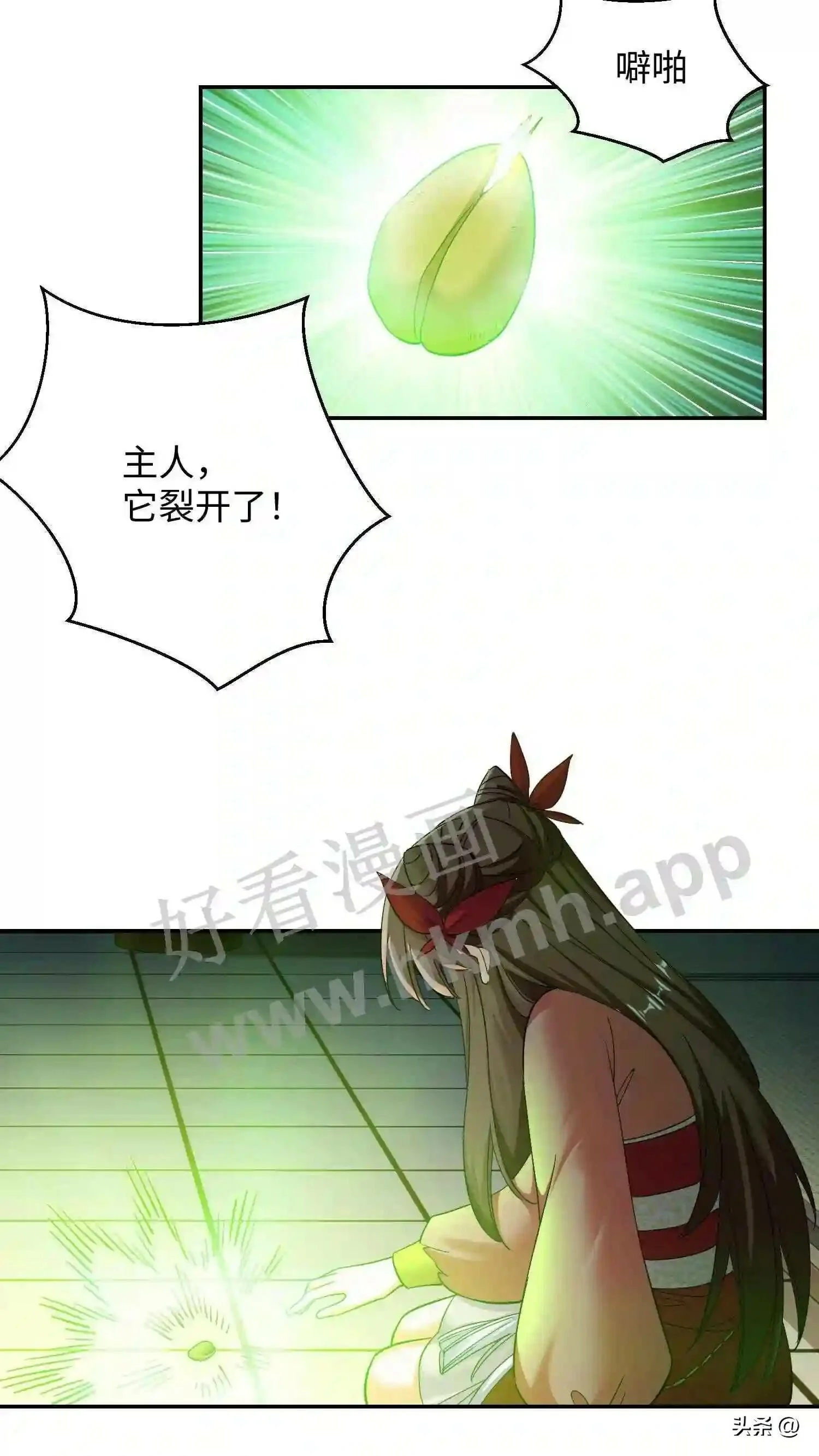 第118话 种子裂开了15