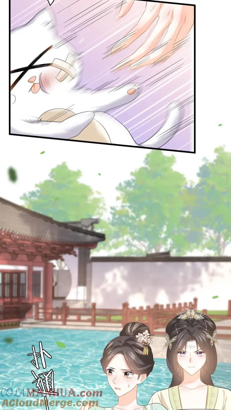 第72话 严查白猫来历！4
