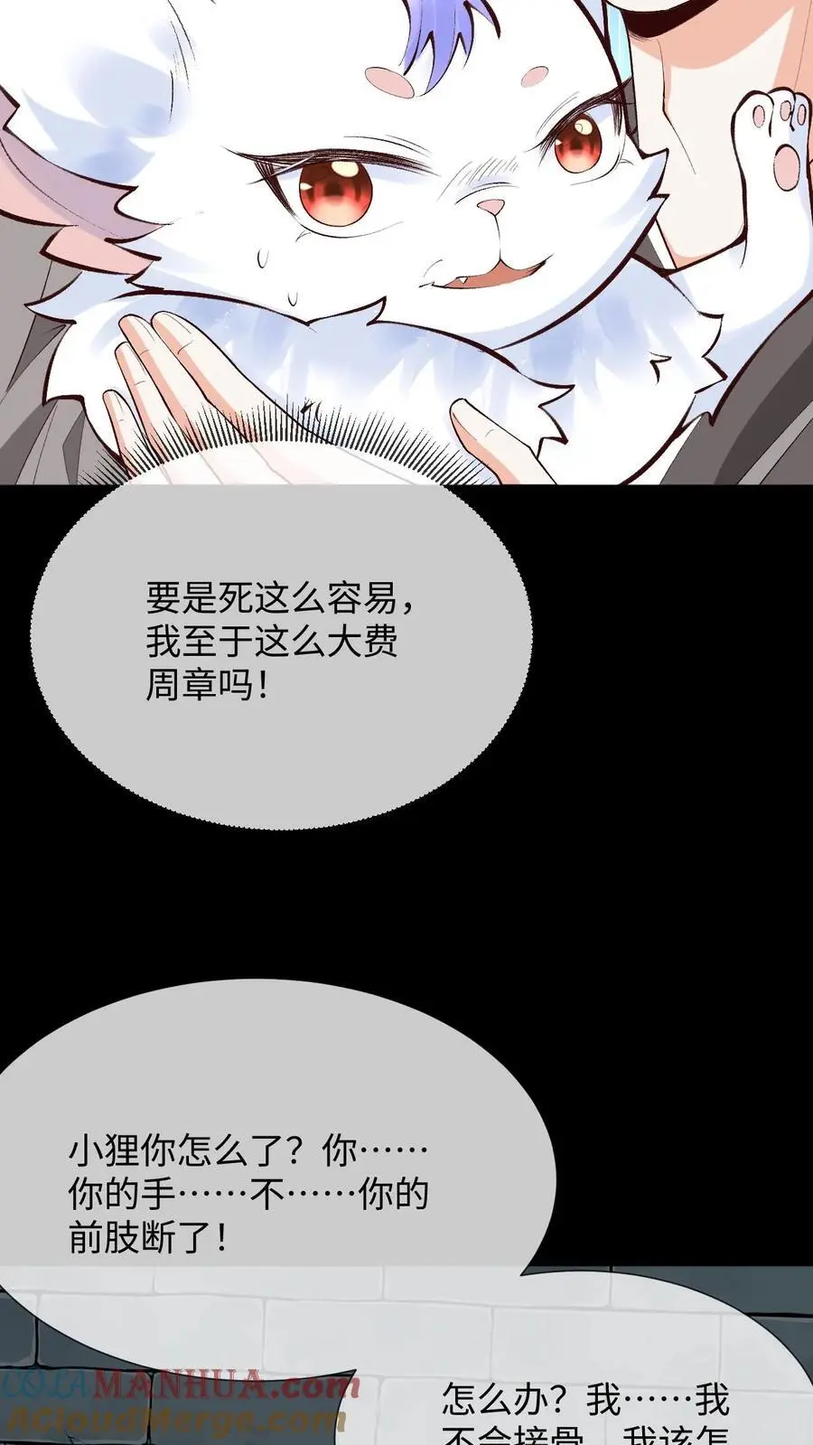 第88话 鸡同鸭讲22