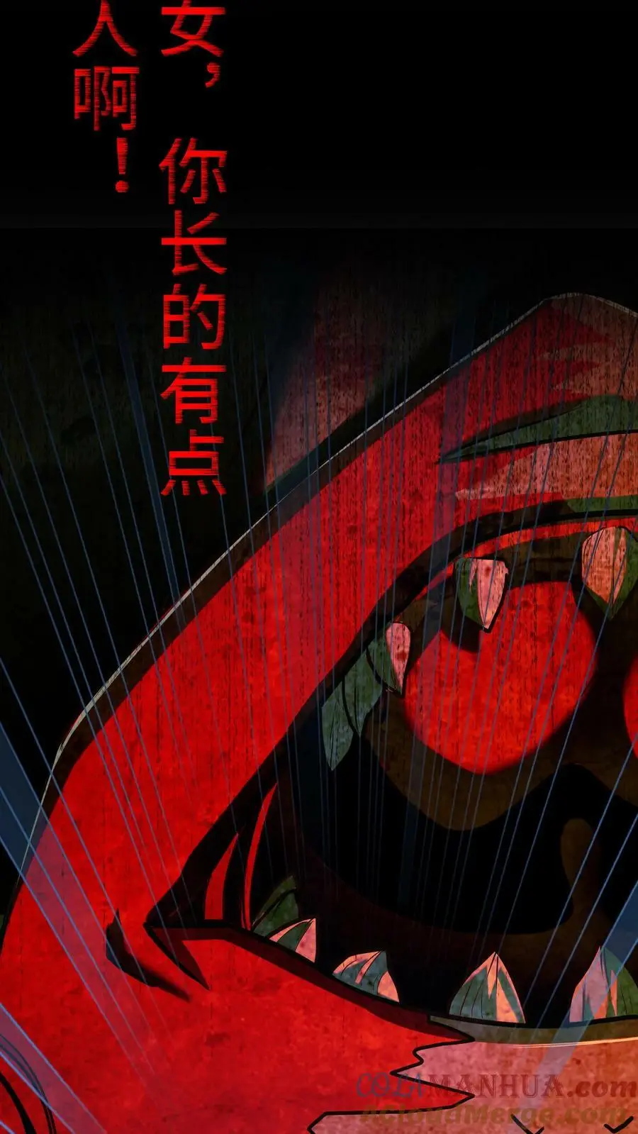 预告11