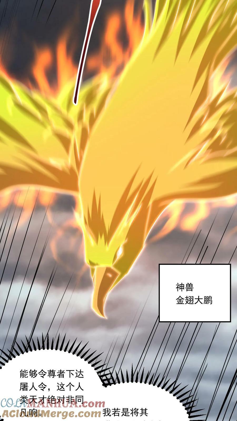 第149话 宝物现世14