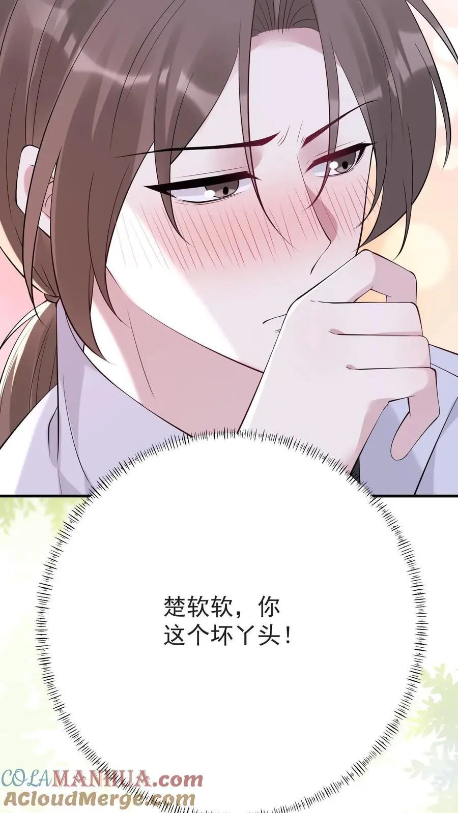 第181话 宁风的小包子28