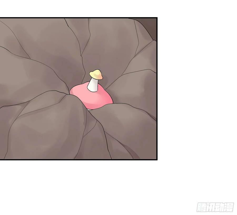 菇死谁手41
