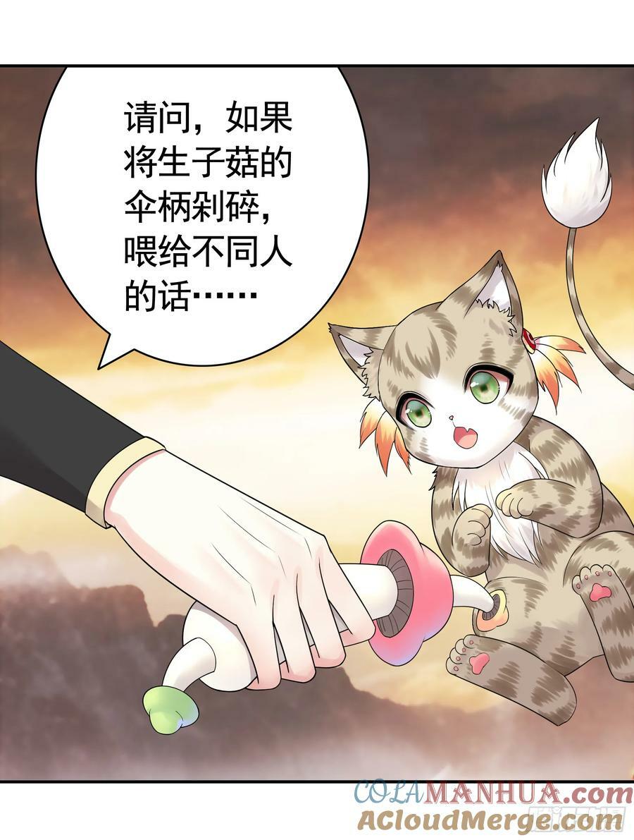 菇死谁手45