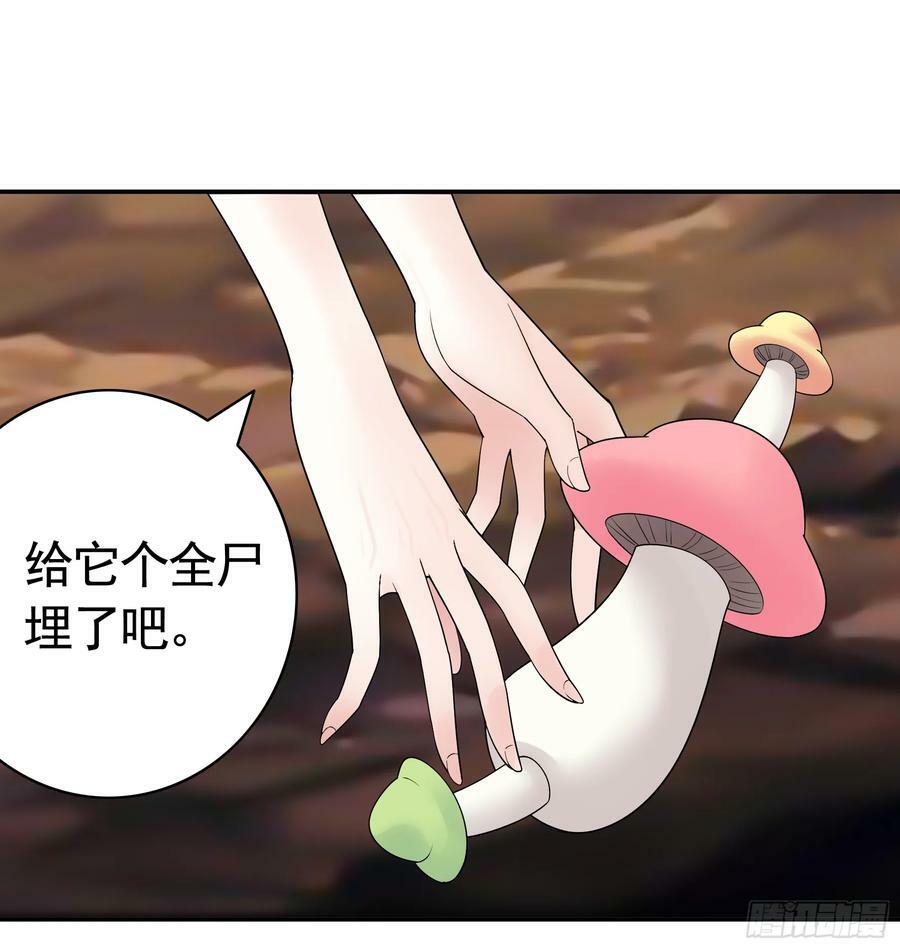 菇死谁手26