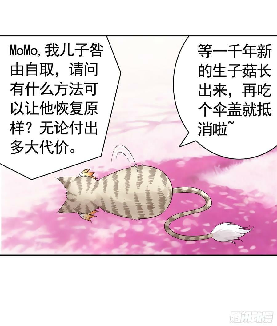爸爸抢师兄？11