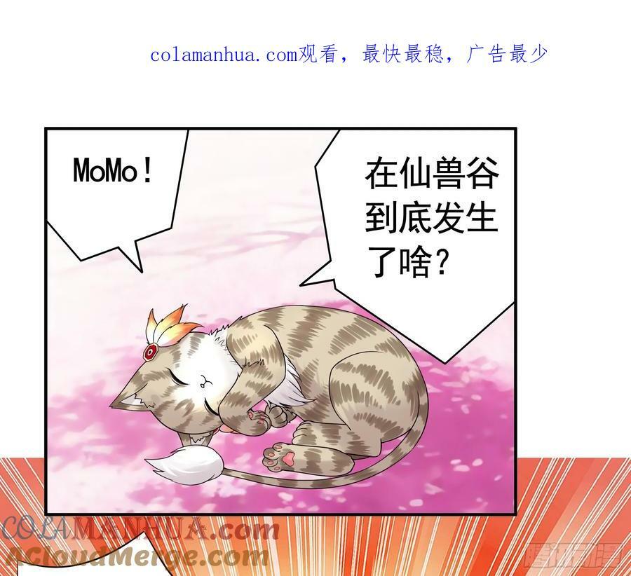 爸爸抢师兄？0