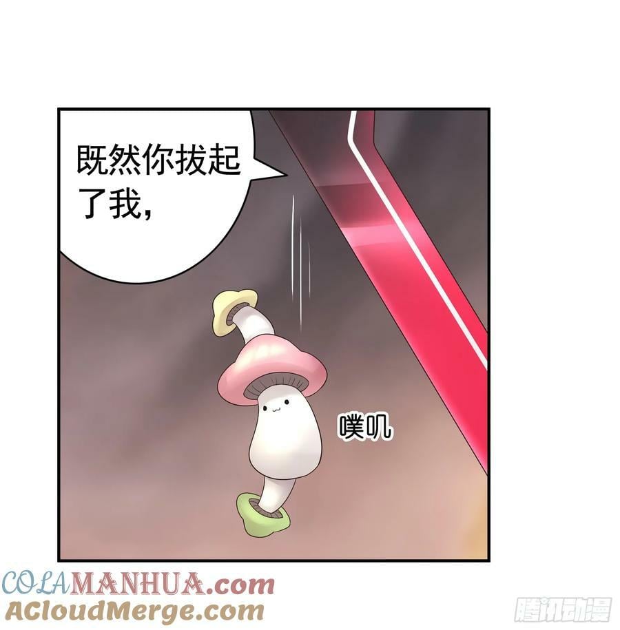 拔剑的资格42