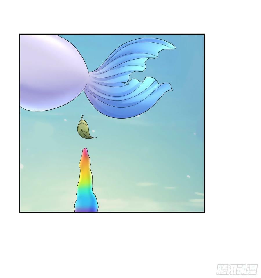 还说你不会武功23