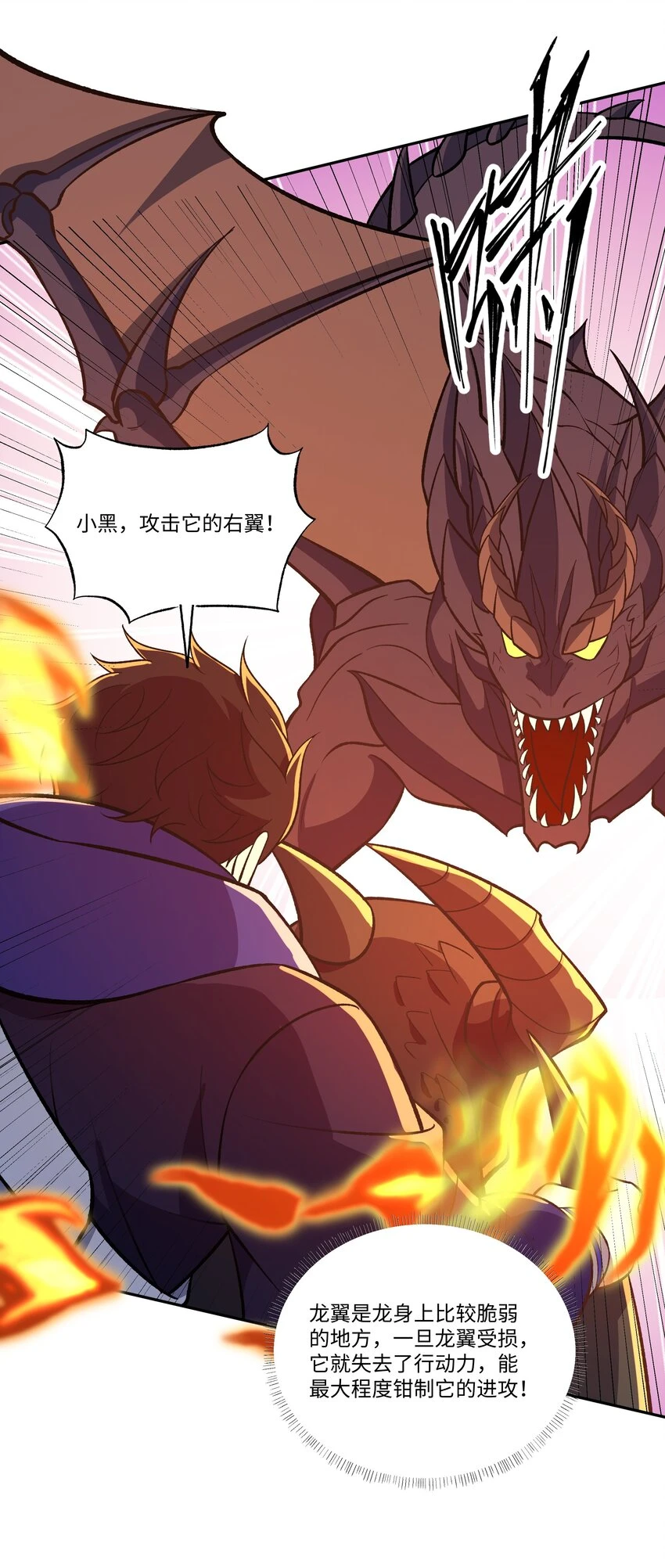 037 契约召唤6