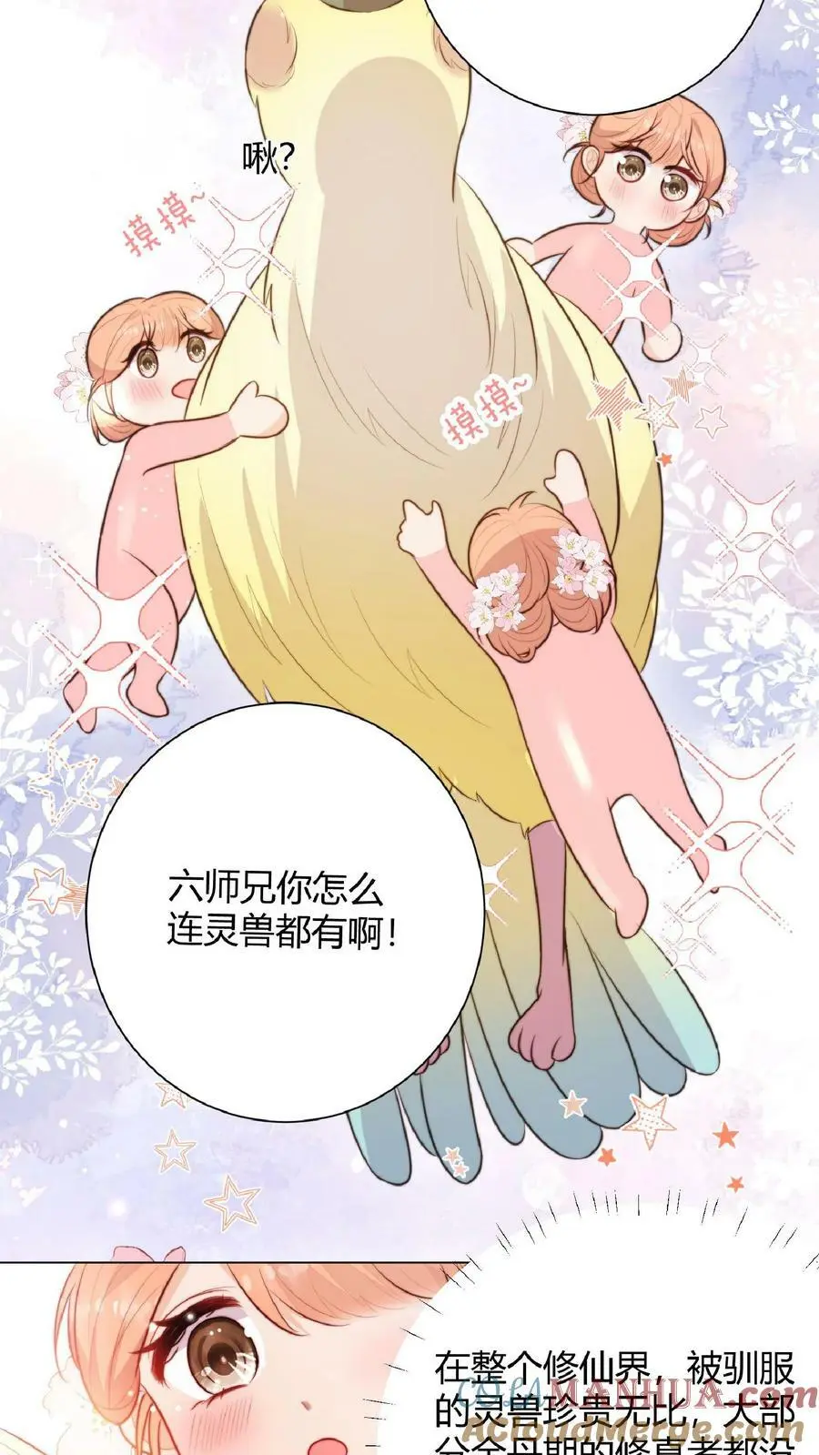 第14话 又又又被团宠啦！20