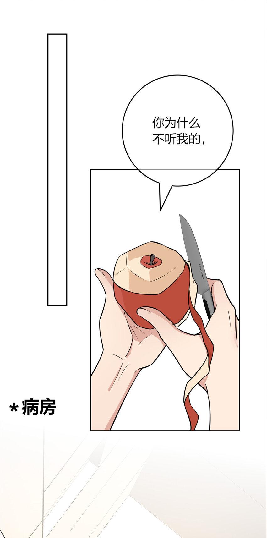 80 8040