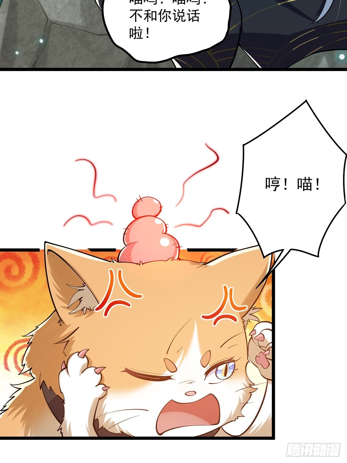 017 撸猫真的有毒34